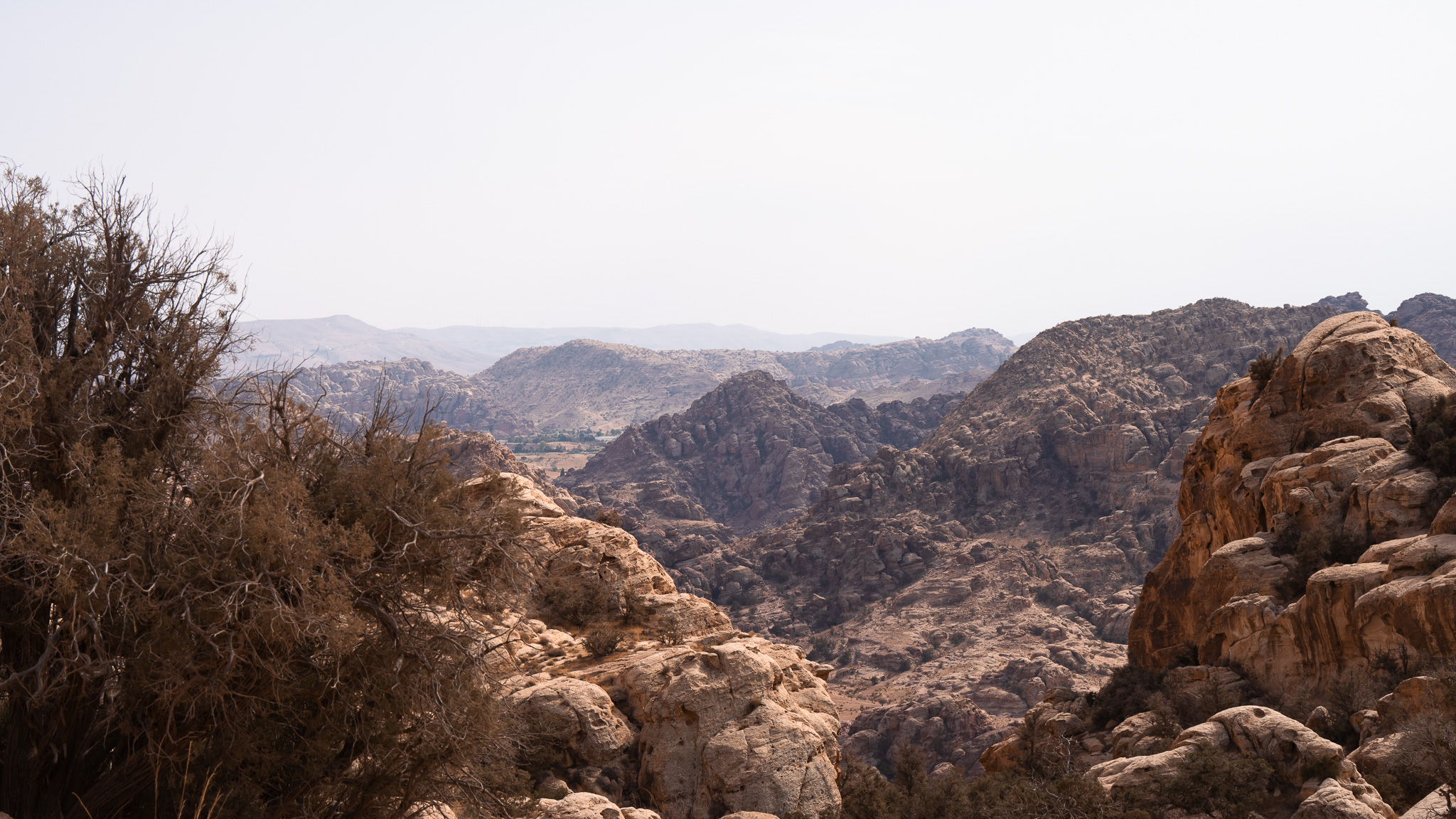 Dana to Petra