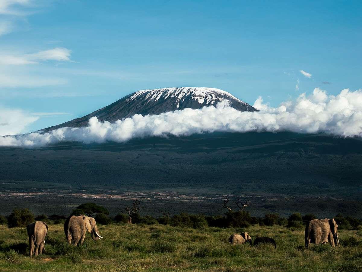 MT. KILIMANJARO 1 Feb 2026