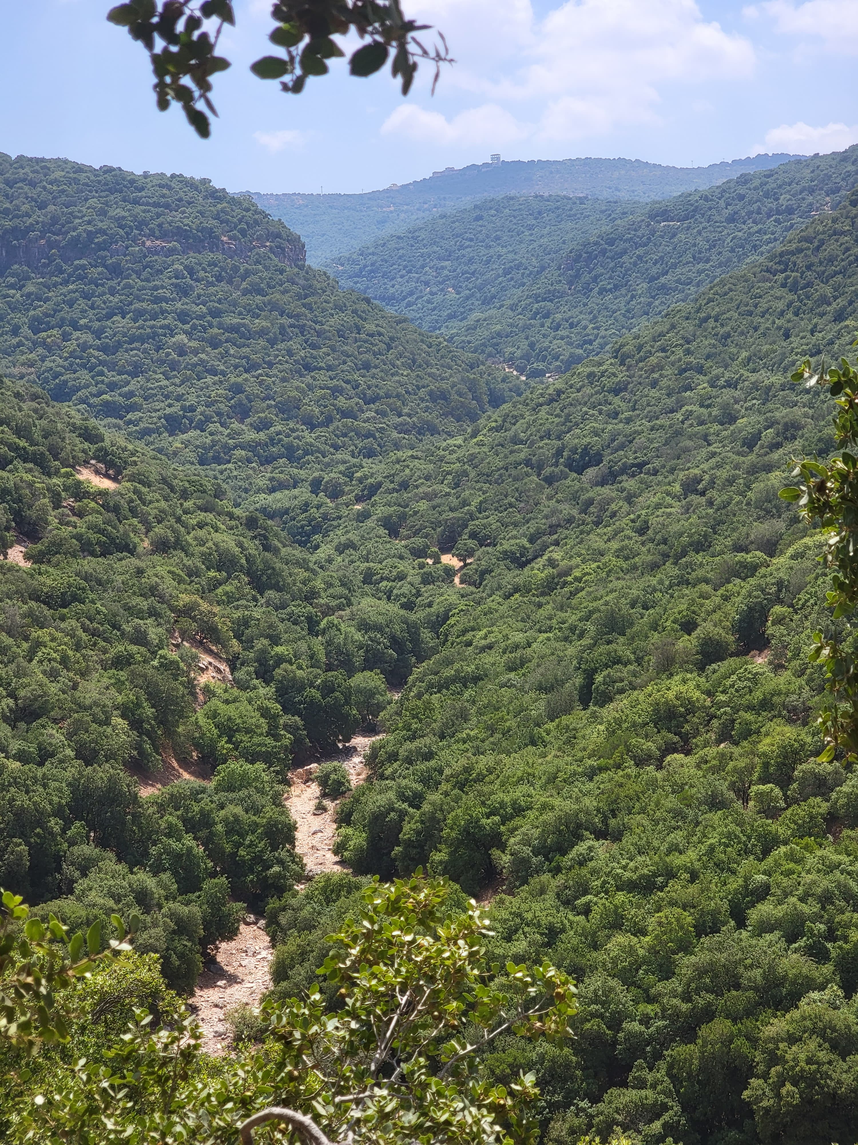 Inbeh Forest Trail 13 March, 2026