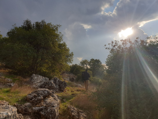 Zubia Forest Circuit Hike