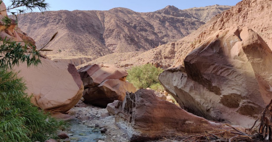 Karak to Wadi Numera
