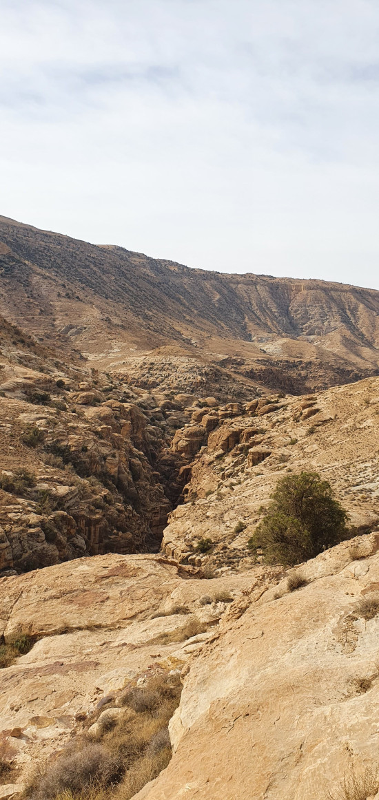 Ma'tan to Dana Reserve 10 October, 2025