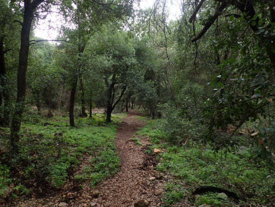 Zubia Forest to Jesus Cave 25 September 2026