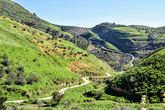 Wadi Al Rayyan 27 Mar, 2026