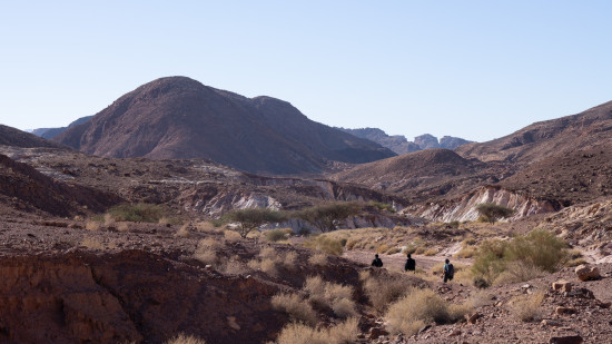 Petra to Wadi Rum (Jordan Trail, group) 28 October, 2025