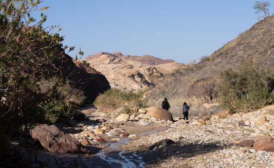 Petra to Wadi Rum (Jordan Trail, group) 5 March, 2026
