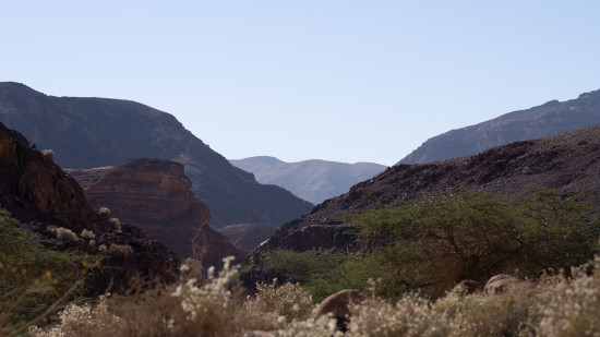 Petra to Wadi Rum (Jordan Trail, group) 16 June, 2026