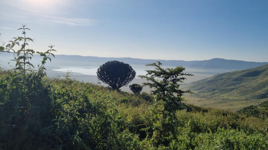 Call of the Savannah: Tanzania’s Ultimate Safari Trip 10 Feb, 2026