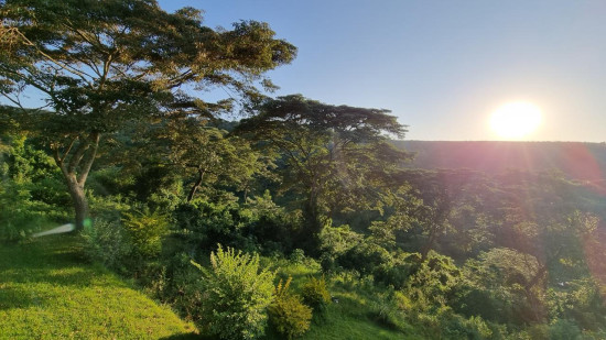 Call of the Savannah: Tanzania’s Ultimate Safari Trip 10 Feb, 2026