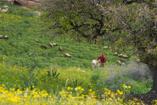 Ziglab to Beit Eides 6 March, 2026