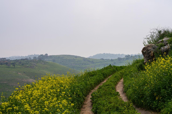 Ziglab to Beit Eides 6 March, 2026