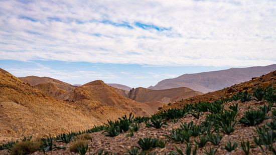 Wadi Tiben & Wadi Tajra - Overnight Trip 20-21 March, 2026