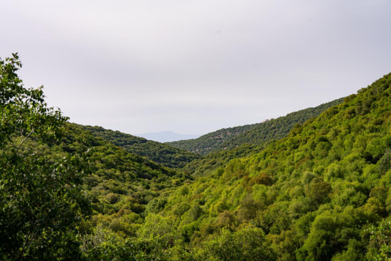 Zubia Forest Circuit Trail 24 April, 2026