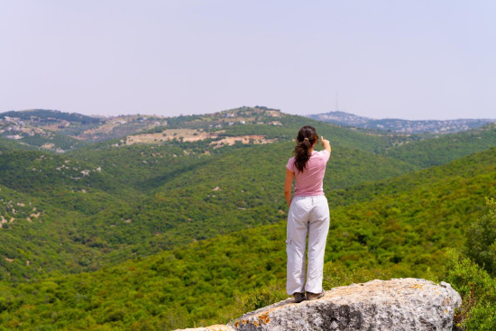 Zubia Forest Circuit Trail 24 April, 2026