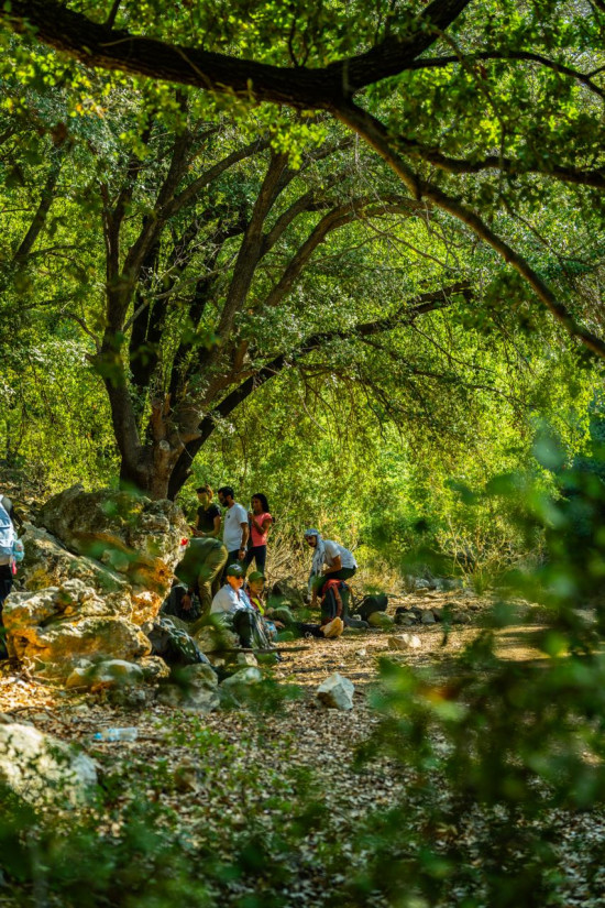 Zubia Forest Circuit Trail 24 April, 2026