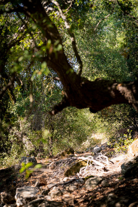 Zubia Forest Circuit Trail 24 April, 2026