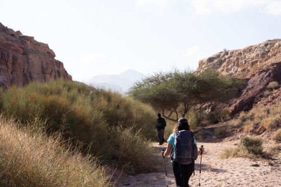 Petra to Wadi Rum (Jordan Trail, group) 9 May, 2027