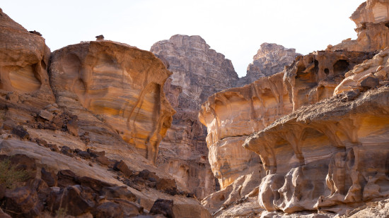 Petra to Wadi Rum (Jordan Trail, group) 23 May, 2027