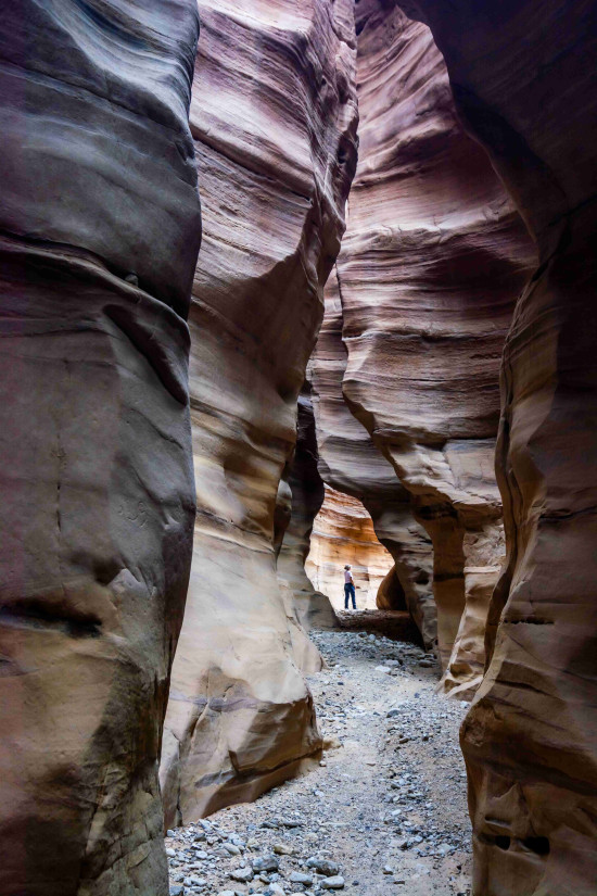 Petra to Wadi Rum (Jordan Trail, group) 7 December, 2026