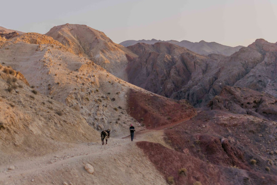 Petra to Wadi Rum (Jordan Trail, group) 26 September, 2027