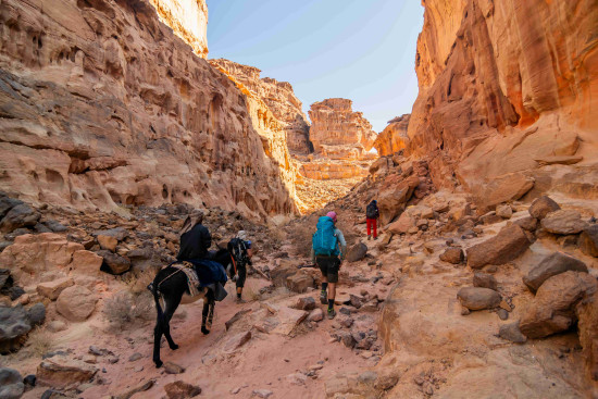 Petra to Wadi Rum (Jordan Trail, group) 24 October, 2027