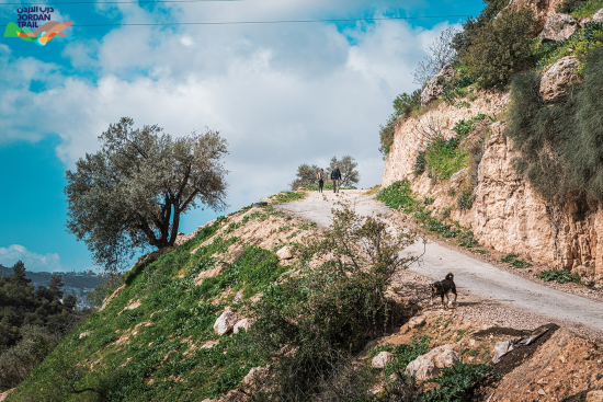 201: Ajloun to Khirbet Al-Souq