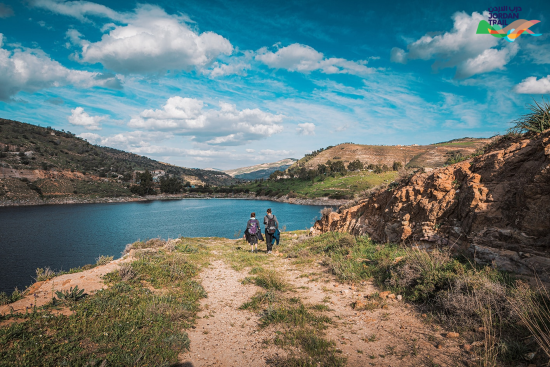202: Khirbet Al-Souq to King Talal Dam