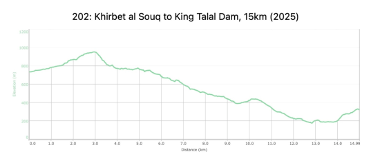 202: Khirbet Al-Souq to King Talal Dam