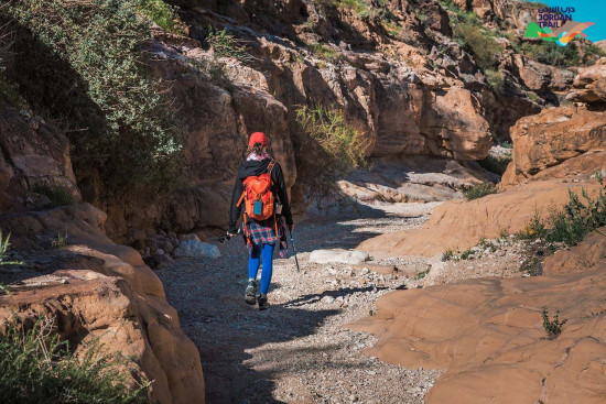 304: Oyoun Al-Theeb to Wadi Zarqa Ma’in