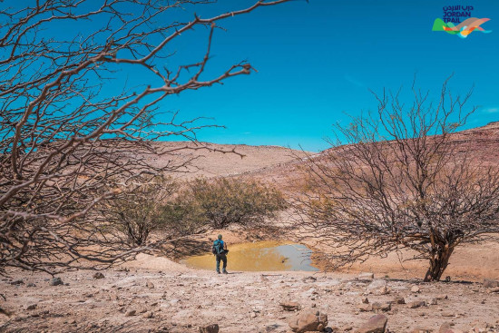 304: Oyoun Al-Theeb to Wadi Zarqa Ma’in