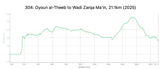 304: Oyoun Al-Theeb to Wadi Zarqa Ma’in