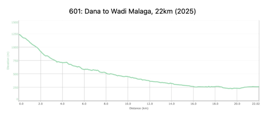 601: Dana to Wadi Malaga