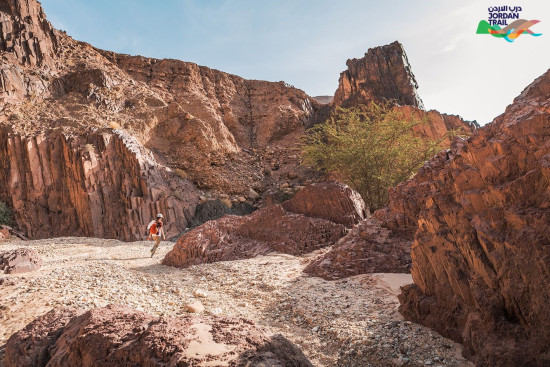 704: Wadi Gseib to Wadi Aheimar