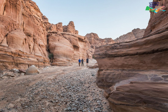 705: Wadi Aheimar to Humeima