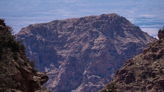 Dana to Mansourah