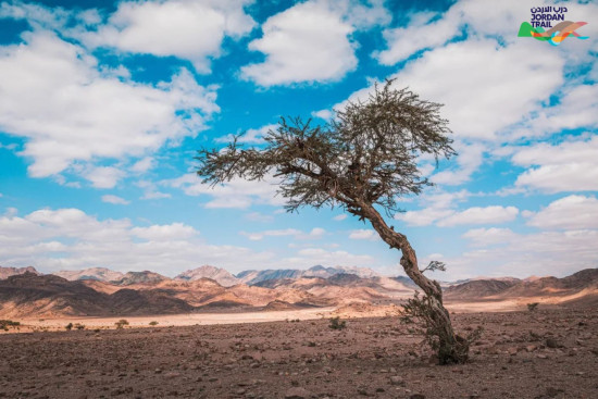 806: Final Camp to Aqaba