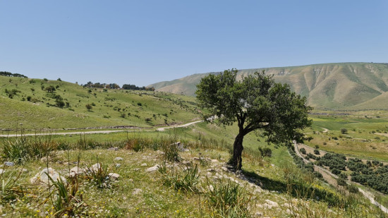 Wadi Malka to Arayes Lake