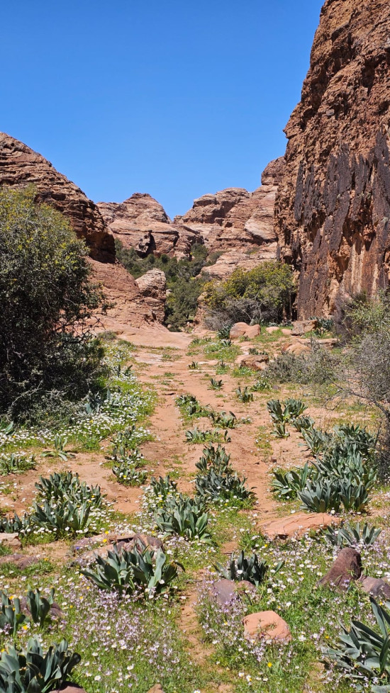 Dana - Shag il Reesh hike