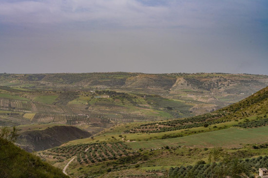 Umm Qais (Gadara) to Zabda Village