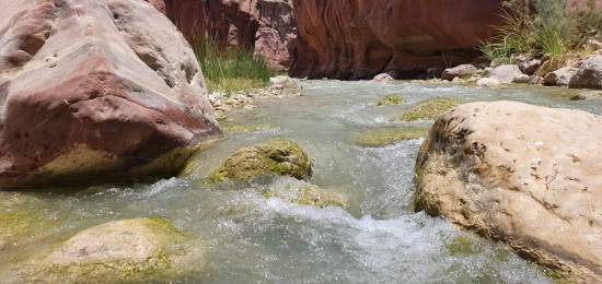 Wadi Hasa Lower Trail