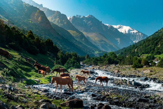 Kyrgyzstan Expedition - Best of Alay Mountains Trek 1-12 September, 2026