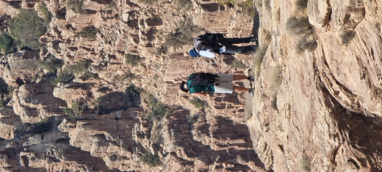 DANA TO MANSOURAH 16 January 2026