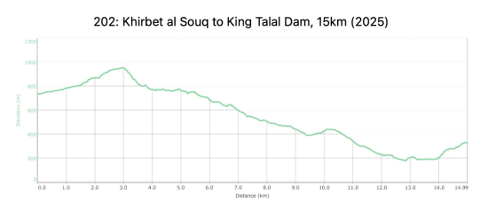 202: Khirbet Al-Souq to King Talal Dam
